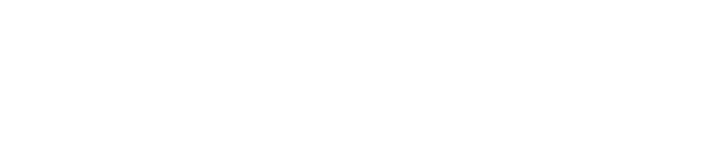 NEXFLOW